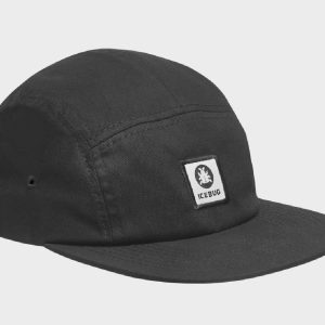 Icebug