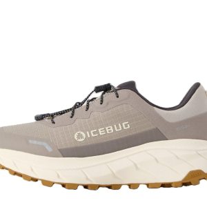 Icebug